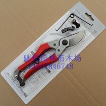 Japan imported Okahiro pruning scissors fruit tree scissors gardening scissors 26 yuan saw