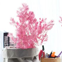 (Mountain tree) Penglai pine natural art pink dried flowers with flowers with grass home furnishings pine branches forever flowers