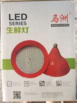 MaChau LED Raw Fresh Light Pork Lamp Fresh Meat Light Cooked Food Lamp Supermarket Seafood Vegetable Fruit Light Special 36W