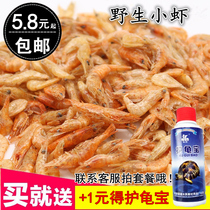   Freshwater Unsalted dried shrimp turtle food Turtle food Pet turtle food Turtle feed Brazilian tortoise Tortoise Herbivorous tortoise