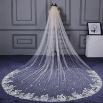 2021 New Bride wedding long tailed lace applique white veil 4 m bridal wedding veil champagne