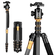 Light-mounted era Q666C carbon fiber tripod SLR frame camera pan-tilt portable tripod