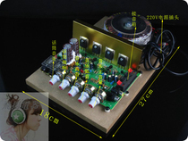 220v Good Sound Power Karaoke Amplifier Board Ring Bull Power Supply Board High Power 100w Dual Channel Amplifier With Mix R