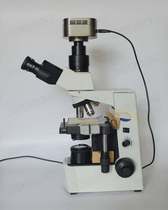  Scientific research Olympus CX31 biological microscope 6 million pixels Sony CCD1 inch full frame camera