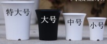 Vaxuan pot multi - meat pot high - waist small flower pot without tray beautiful quality upper black white