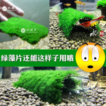 Aquarium township]Ornamental aquatic plants green algae green velvet green algae ball net green blanket moss mat alternative shrimp food 8*8