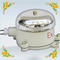 BDL-125 explosion-proof electric bell 127V mine Bell 24V 36V 110V 220V explosion-proof acousto-optic Bell