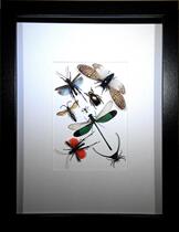 Butterfly: Insect specimens mix and match real insects European and American big brand simple style high-end customization