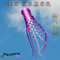 Skywalker Soft adult kite 8 m 15 M 23 m amethyst flame black paul octopus kite