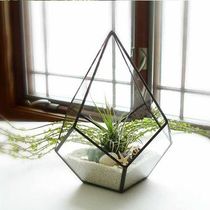 Nordic geometric glass flower house creative fleshy plant flowerpot eternal flower gift box moss micro landscape wedding gift