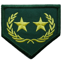 CS WG Green General School Ulmai Spike Samsung Arm Badge Magic Sticker Game Grade Level