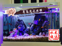 Sensen HR1000I aquarium HR-1000I 1 meter long 35cm wide fish tank with water pump tube in the province