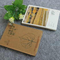 If there is an afterlife to make a tree philosophy and postcard youthful artistic and dramatic version