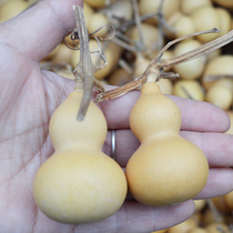 Gourd natural hand twist small gourd handle play pendant leather good quantity discount paste fast small text play jewelry