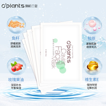 oplants Hydrating and moisturizing fish seed mask Refreshing oil control shrink pores Deep cleansing lock water mask