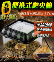 Imitation Xinjin reptile feeding box Spider box horned frog corn snake lizard scorpion beetle feeding box pet box