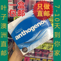 Australian Direct Mail Anthogenol High Concentration Anthocyanin Grape Seed Essence 100 Grain Treasure Box