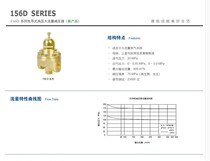  Jierui GENTEC pressure reducer 156DX-125156DX-200 bus oxygen pressure reducer