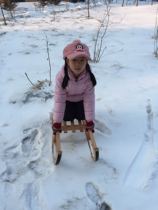Snow sledge Special sledge sledge for snow Wooden sledge Special wooden sledge sledge for snow