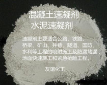 Concrete Celeriac Cement Celeriac Construction Test Concrete Quick Dry Concreting Jet Celeriac 1000 grams