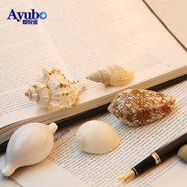 All kinds of natural shells conch fish tank decorations shooting props fleshy micro-landscape Mediterranean set starfish