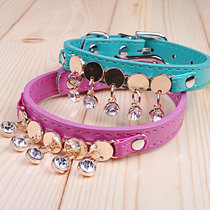 New Pet Kitten collar Collar Dog collar supplies Necklace Teddy Dog collar Pet supplies