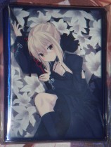 Anime card set fate FGO saber black saber Altoria limited spot