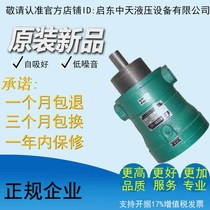  2 5MCY 5MCY 10MCY 25MCY 63MCY 80MCY 160MCY 250MCY14-1B Plunger pump