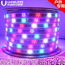  LED patch light with multicolored cherry blossom jump outdoor special Christmas decoration waterproof farmhouse color soft light strip