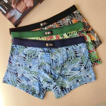 Soft breathable counter Dolby Knight mid-waist sexy breathable wide rib modal fabric mens boxer briefs