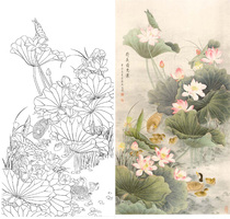 Gongbi painting white sketch background four feet lotus Liang Yansheng hook line physical print draft 66*125 with color 007T