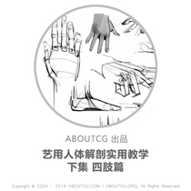 AboutCG Art Human anatomy Practical tutorial Next Limbs Painting tutorial Human body structure