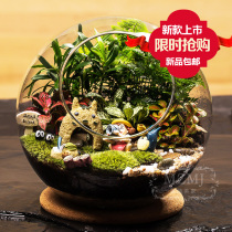 Moss micro landscape ecological oblique bottle chinchillo mini plant creative green plant potted Teachers Day gift