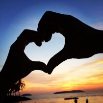 Contribution fee link