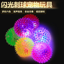 Pet dog vocal toy puppy bouncy ball glowing toy ball dog molars Teddy than bear playing hog ball