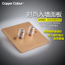 Copper color E-Series terminal in wall panel audio socket Speaker terminal