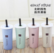 Creative Korean wheat with sippy cup student couple drinking cup with lid portable Cup heat-resistant cup