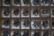 New original Tenglong 2 8-10 5mm Automatic aperture lens F1 2 hemisphere lens special treatment