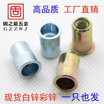 Small countersunk head vertical rivet nut Small head thin head rivet nut Thin head rivet nut M3M4M5M6M8M10