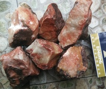 Ning Qiang Coral Jade Fossil Snowflake Beehive honeycomb veins small material can be made small to play fish tank heap sales sign pendant L