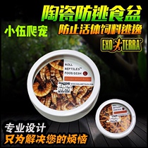 Reptile anti-escape Food bowl Anti-escape climbing pet Lizard Palace guard maned lion Bread worm Barley worm Ceramic Anti-escape ceramic