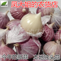 4kg Jiangxi Jian Yongfeng specialty purple garlic head garlic single head garlic fresh white garlic garlic 1kg