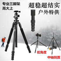 Sirui R2004 tripod professional photography Canon 1DX 5D3 Nikon D4S D800E SLR camera stand