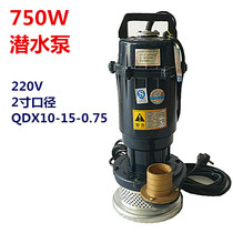 750W2 inch submersible pump 220V household agricultural irrigation underground pump drainage fountain clear water pump 0 75KW