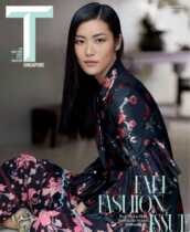 (Out of print collection) Liu Wen star around T Magazine2017 year September closure