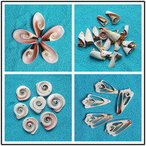 Natural shell conch sea star perforated shell conch diy handmade accessories home fish tank decoration