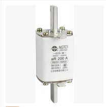 NGTC1 RS32 Zhenghhao Fast Fuse AR 100A 160A 200A 250 etc