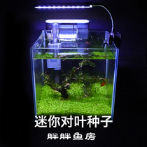 Fatfat fish house simple and quick to build mini-to-leaf water grass lawn seed 7-day-fast prospect sloth water grass