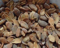 Chinese herbal medicine Chinese herbal medicine yellow skin core 500g