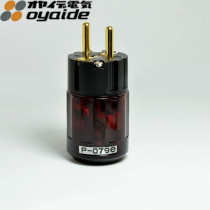 Euryaide P-079e C- 079 gold-plated European standard power head European fever power plug